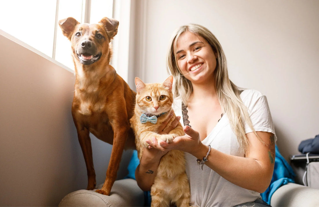 Crafting a Cohesive Home: Selecting Pet-Friendly Wood Furniture - Megsu