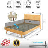 Natural Oak