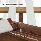 Acacia Aurora Deluxe Wood Platform Bed Frame - Megsu